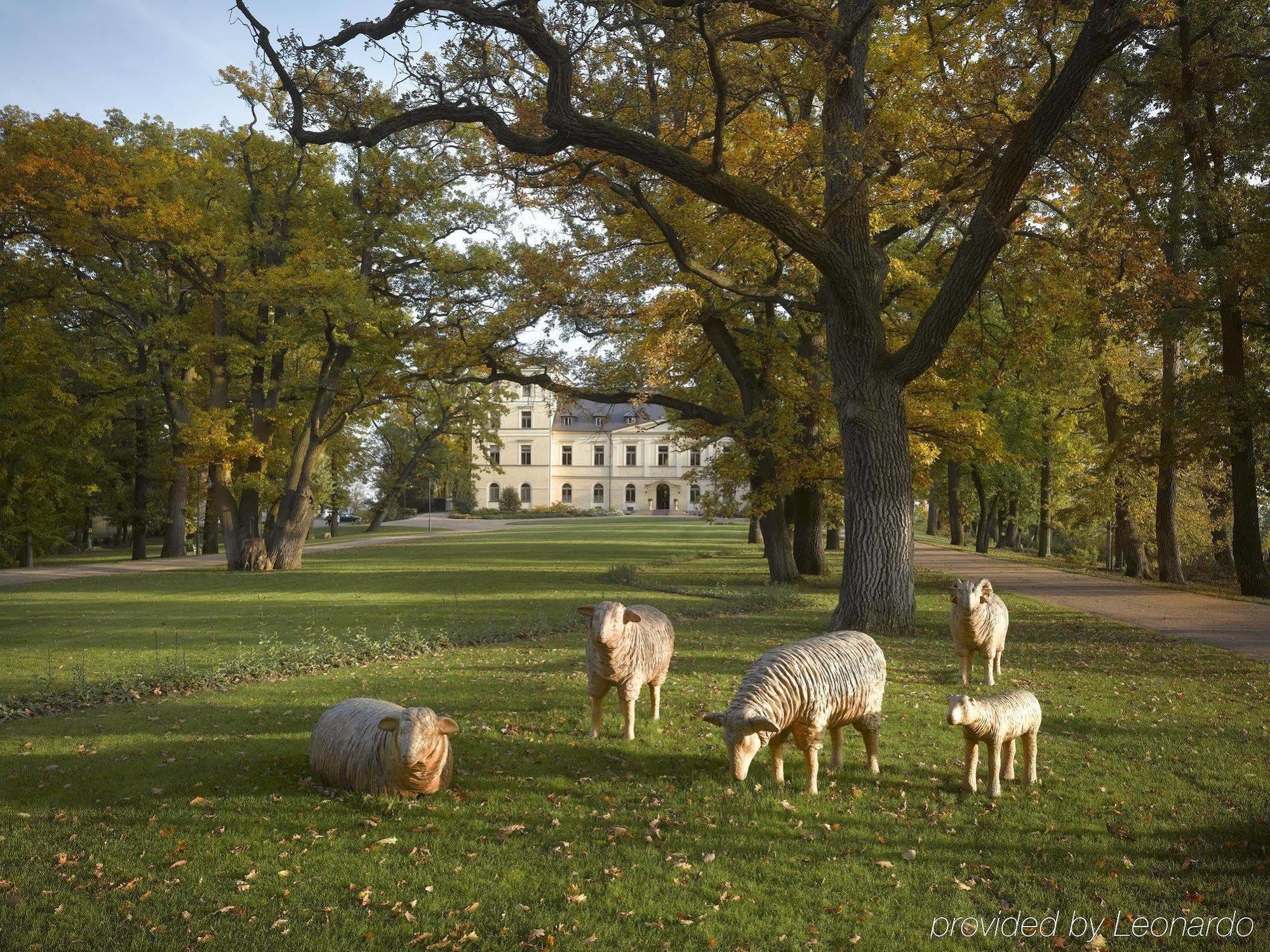 Chateau Mcely Exterior foto
